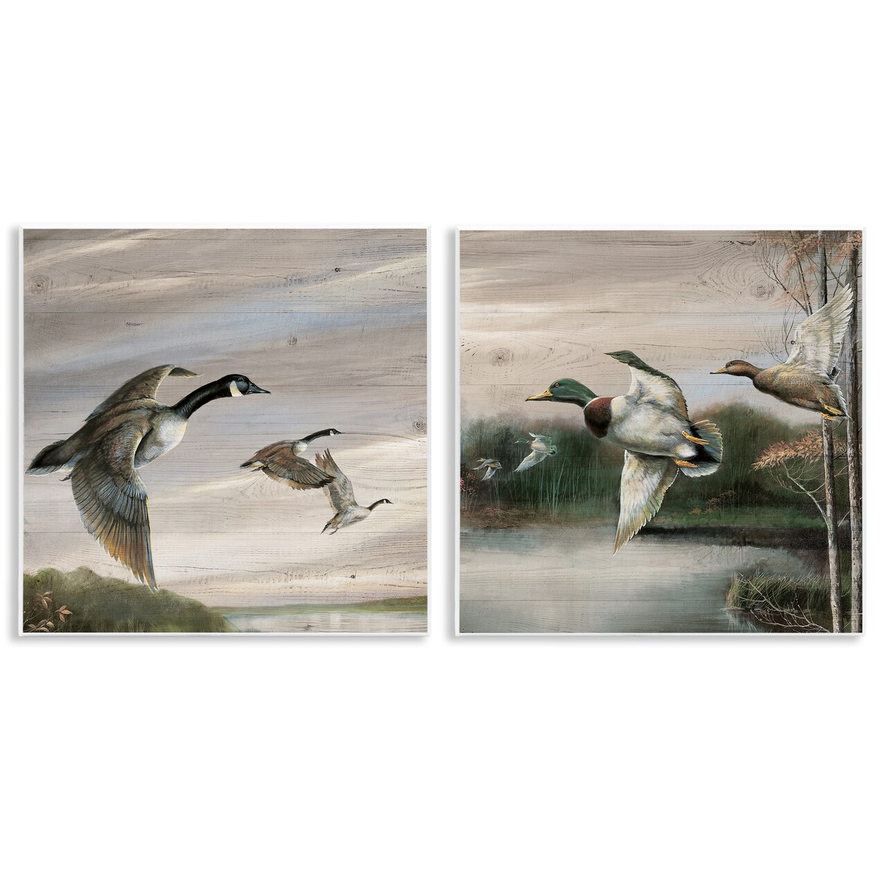 Stupell Industries Geese & Ducks in Nature 2pc Wall Plaque Set Design by Ruane Manning